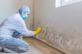 Trusted Wadesboro, NC Mold Remediation Experts